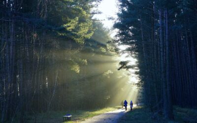 Southwest Trail Riding | ? Ready To Rumble? Wild Bunch…