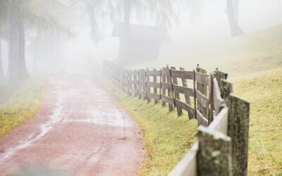 Trail Machines – ? Get Your Adventure Started With Wild…