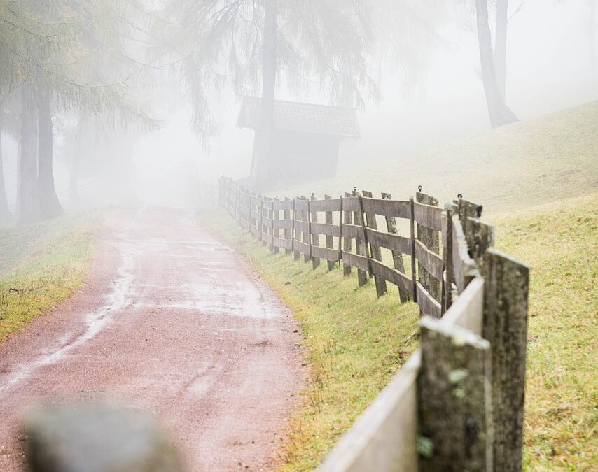Trail Machines – ? Get Your Adventure Started With Wild…