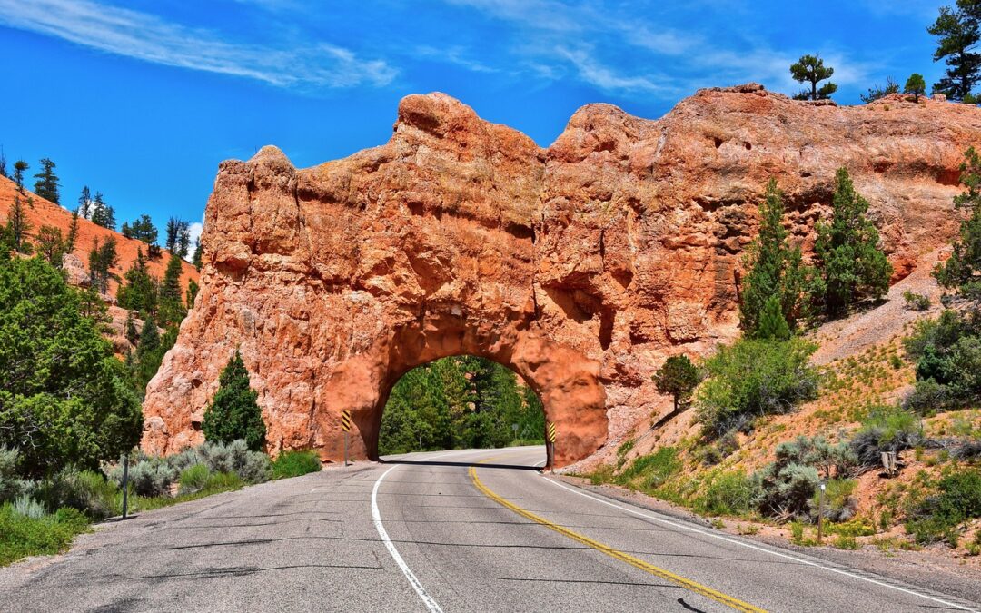 How To Plan A Family UTV Trip In Utah &raquo;…