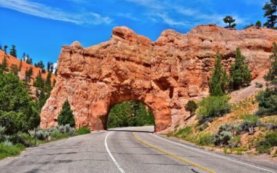 How To Plan A Family UTV Trip In Utah &raquo;…
