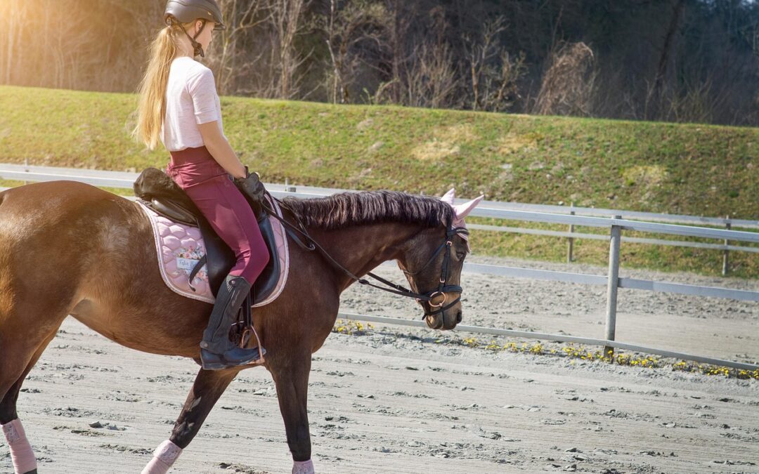 Family Trail Riding &raquo; ? Wild Bunch Recreation Rental: Your…