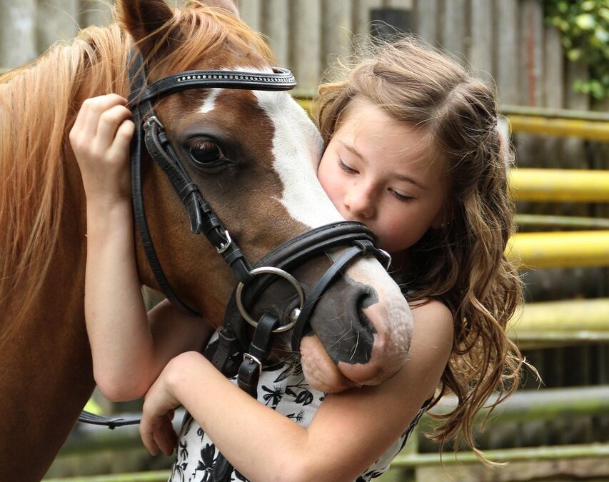 Family Trail Riding – ? Wild Bunch Recreation Rental: Your…