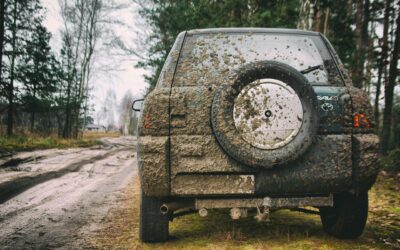 Off-Road Vacations » ? Wild Bunch Recreation Rental: Your Adventure…