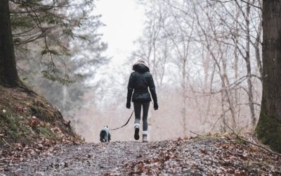 Trail Machines / ? Adventure Awaits! Explore The Trails With…