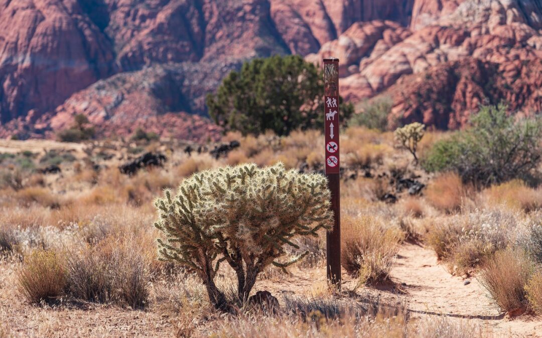 Best OHV Trails Near Bountiful Utah For UTVs – ?…
