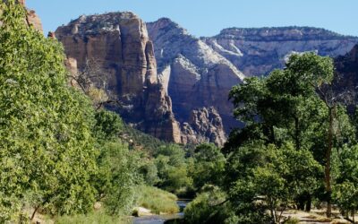 Family-friendly Trail Machines Near Spring City UT | ? Wild…