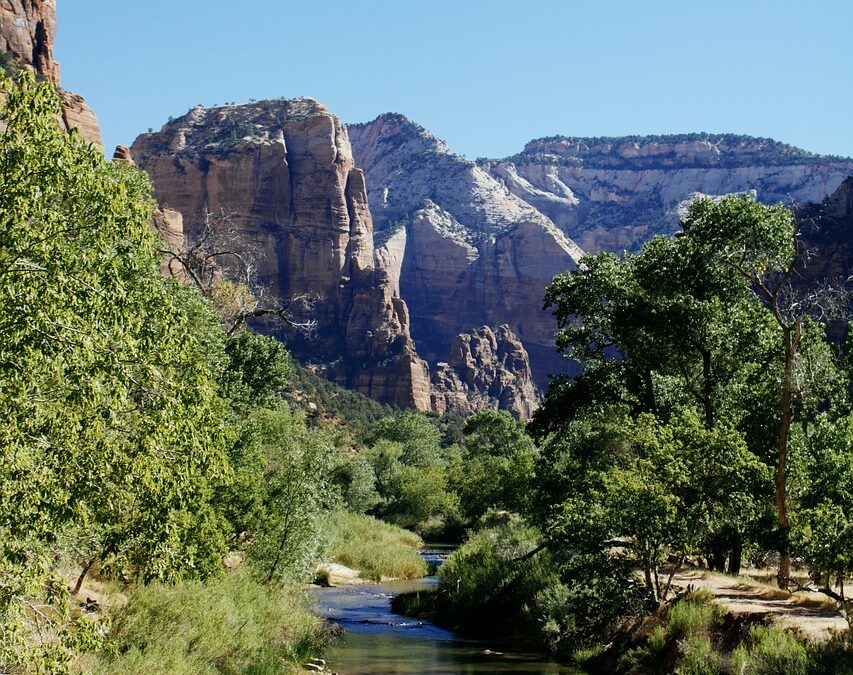Family-friendly Trail Machines Near Spring City UT | ? Wild…