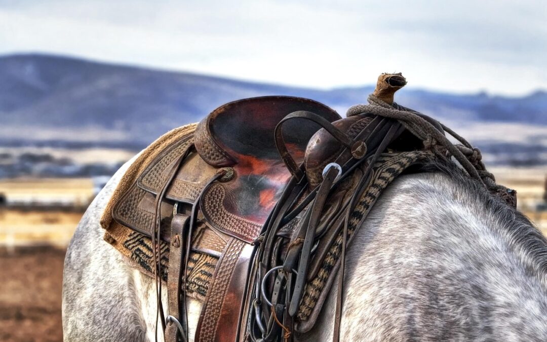Powerports Equipment Rental For Desert Riding: ? Wild Bunch Recreation…